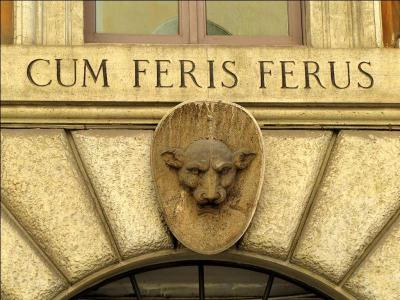 FERUS signifie « ce qui est sauvage » en latin. Quelle est sa vocation de cette association de protection animalière ?