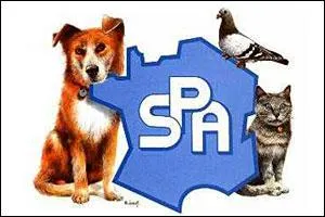 La première question était un aparté. Nous allons nous concentrer sur la Société protectrice des animaux qui, en France, a été créée en :