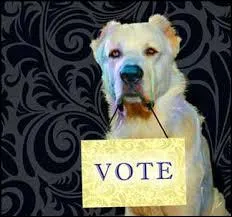 En 1972, Jacqueline Thome-Patenôtre (présidente de la S.P.A.) dépose à l'Assemblée nationale la « charte de l'animal » qui sera adoptée en...