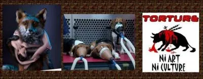 Dés 1905, la S.P.A. entame un combat contre :