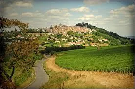 Dans quel vignoble faites-vous les vendanges si vous vous trouvez sur l'aire d'appellation couvrant les communes de Bannay, Bué, Crézancy, Menetou-Ratel, Ménétréol, Montigny, St-Satur, Ste-Gemme, Sury-en-vaux, Thauvenay ?