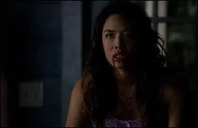 Qui est la nouvelle petite amie de Stefan ?