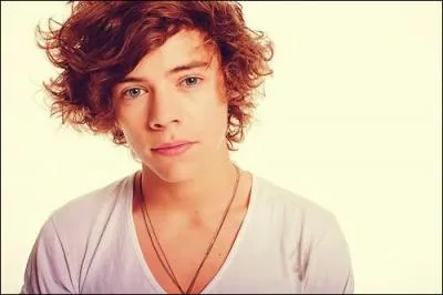 Qu'a dit Harry quand il a regardé le match Italie/Angleterre de foot et que les Italiens ont gagné ?