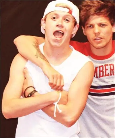 Niall aimerait faire ............ un jour .