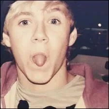 Et de Niall ? (dans le groupe)