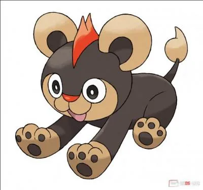 De quel(s) type(s) est ce Pokémon ?