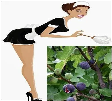 Les --------- de cabaret, les ------- le long d'un chemin sont exposés aux fréquentes visites des passants.