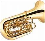 Tubabasse : à quelle famille d'instruments appartient le tuba ?