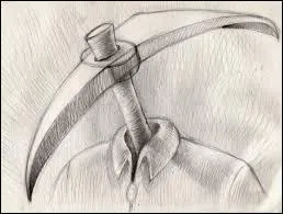 Parmi ces réponses, laquelle désigne l'adjectif qui définirait parfaitement une "tête de pioche" ?