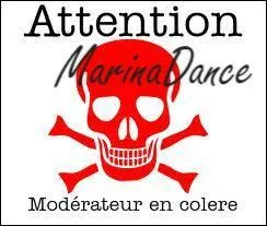 S'ennuyant à mourir, Marina regarda sa montre, et paniqua soudain. En effet, cette dernière indiquait qu'il était 8 pm, ce qui signifie qu'il était en France...