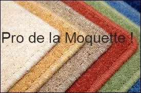 Amateur des grands voyages, Moquette pense à un prix extrêmement élevé. Lizea lui demande si ce prix peut dépasser celui d'un mètre carré de moquette. Le bon Moquette répond...
