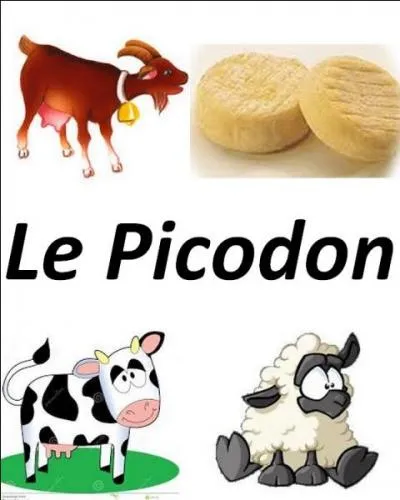 Quel est le bon lait utilisé pour ce fromage ?