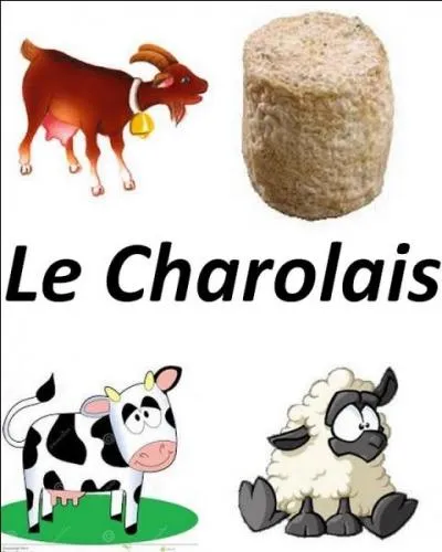 Quel est le bon lait utilisé pour ce fromage ?