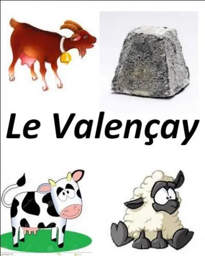 Quel est le bon lait utilisé pour ce fromage ?