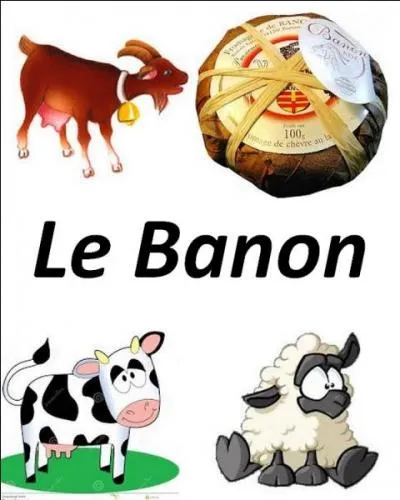 Quel est le bon lait utilisé pour ce fromage ?