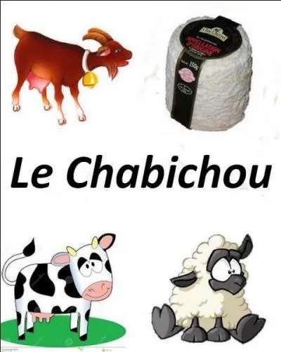 Quel est le bon lait utilisé pour ce fromage ?