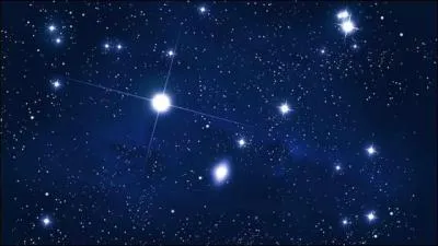 Comment les oiseaux à migration nocturne se dirigent-ils ?