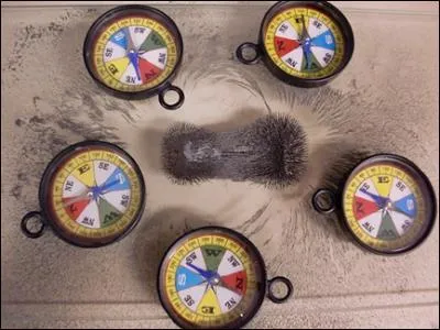 Les oiseaux possèdent une aptitude innée qui leur permet de s'orienter. C'est...