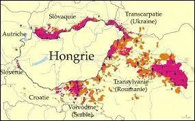 Le hongrois fait-il partie des langues agglutinantes ?