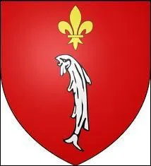 Voici le blason d'un village de la Manche. C'est l'unique commune labellisée "Plus Beaux Villages de France" de ce département. Il s'agit de ...