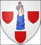 Ce blason appartient à une ville alsacienne. Principalement connue pour son marché de Noël médiévale, cette ville est ...