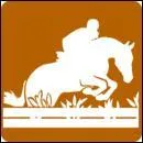 Quel est le but du Hunter ?