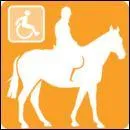 Qu'est-ce que le para-équestre ?