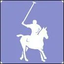 Quel est le cheval taillé pour le polo ?