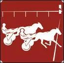 Combien de sortes de courses existe-t-il ?