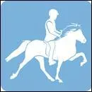 Comment s'appelle l'équitation spécifique sur chevaux islandais qui ont pour particularité d'avoir conservé le tölt et l'amble ?
