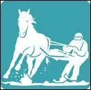 Le ski-joëring, c'est...