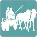 Combien existe-t-il de types d'attelage ?