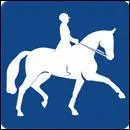 Cite 4 figures de dressage :