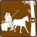 Quelle est la discipline sur l'image ?