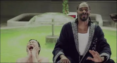 C'est reparti pour un délire avec Psy et Snoop Dogg dans le titre :