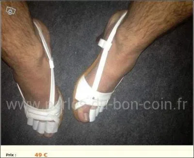 Que cherche à vendre cette annonce ?