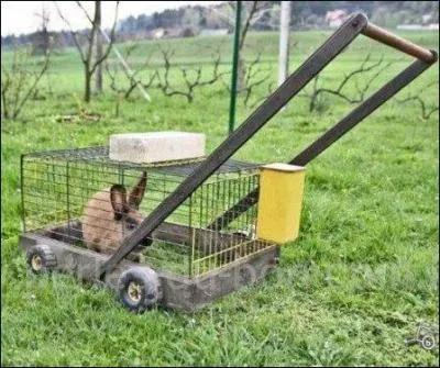 Saurez-vous retrouver l'intitulé et l'objet de cette dernière ?