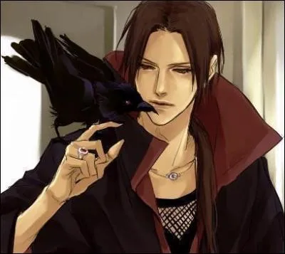 Comment s'appelle l'homme poisson en binôme avec Itachi ?