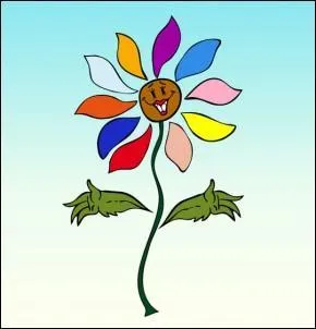 Et si vous avez entièrement raté ce quiz :