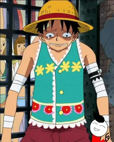 Ah ah ! J'adore cette tenue, avec ces petites dentelles juste là ! Je ne sais pas pourquoi, mais Luffy n'avait pas l'air de l'avoir appréciée...Je ne comprends pas, il l'a pourtant portée à l'arc...