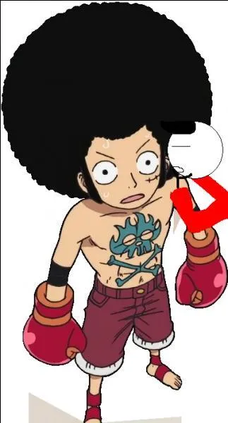 J'ai conçu cette tenue suite à une demande de Luffy. Après mûre réflexion, je pense que j'aurai dû faire la coupe afro un peu plus petite...Néanmoins, il a quand même apprécié la tenue et l'a portée à l'arc...