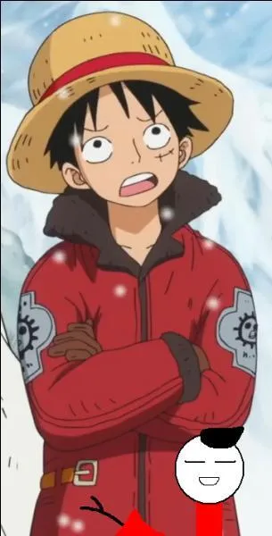 Si vous désirez faire une randonnée un jour de grand froid, alors cette tenue est faite pour vous ! J'ai fait en sorte que la parka ne soit pas trop épaisse pour rester libre de ses mouvements tout en restant chaude. Une merveille ! Cette tenue s'est avérée très utile à Luffy lors de son voyage à...