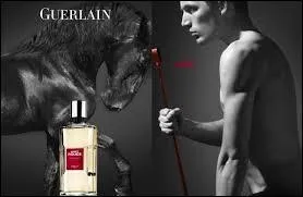 Quel est ce parfum de Guerlain ?