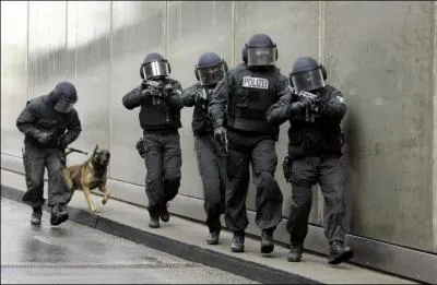 Quelle est cette unité formée bien tardivement par l'Allemagne en 1996, afin de lui fournir un groupe d'intervention et de forces spéciales ?