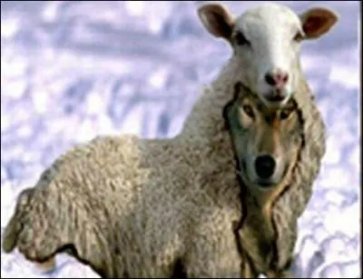 "Si tu as de la jugeote, tu éviteras de t'y intéresser de trop près". Que représente le mot "jugeote" ?