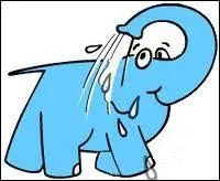 Dans quel domaine est spécialisée la société "Eléphant Bleu" ?