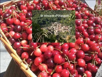 Si vous faites un sauté de veau aux cerises de Caroux, c'est que vous devez vous trouver dans votre cuisine du --------.