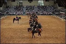 Quelles sont les robes de tous les chevaux du Cadre Noir ?