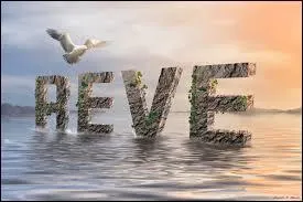 Quel est le rêve de Sacha ?