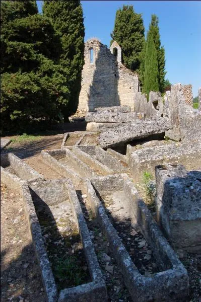 Quel est ce bourg de la Vienne connu pour son immense nécropole mérovingienne renfermant plus de 10000 sarcophages ?